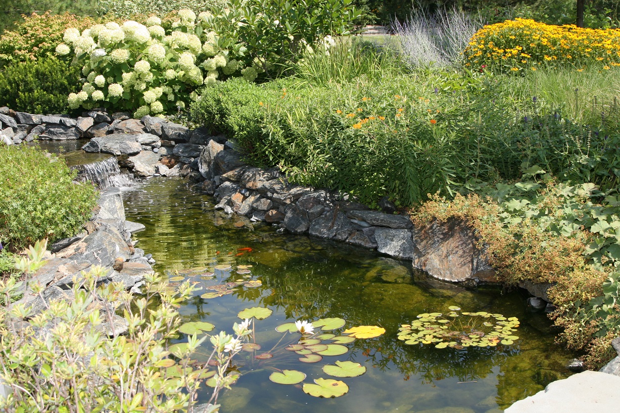 backyard water feature