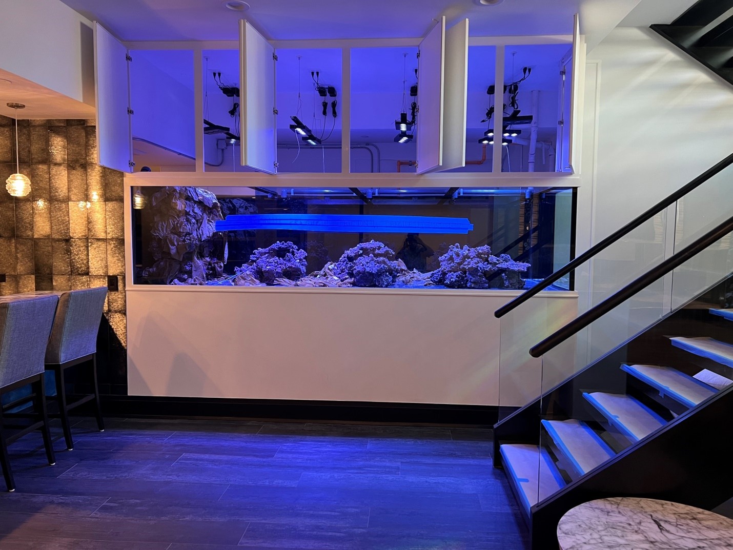 large home acquarium